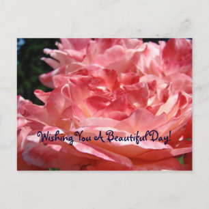 Wensend u een mooie dag! ansichtkaart Roze Rozen Briefkaart