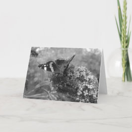 Wenskaart - Admiral Butterfly in zwart-wit Kaart
