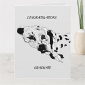 Wenskaart afstuderen: Dalmatiërs Kaart (Voorkant)