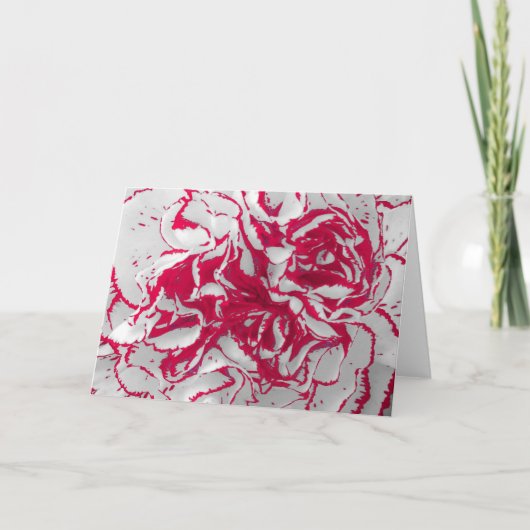 Wenskaart - anjer in rood en wit kaart (Voorkant)