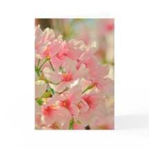 Wenskaart, blanco binnenin