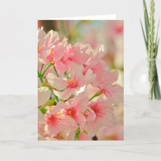 Wenskaart, blanco binnenin kaart