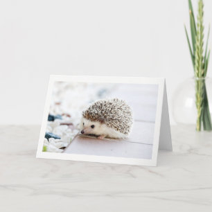 Wenskaart blanco cute hedgel kaart