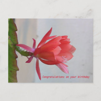 Wenskaart Briefkaart