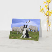 wenskaart "Buckeroo on Duty" Kaart (Gele Bloem)