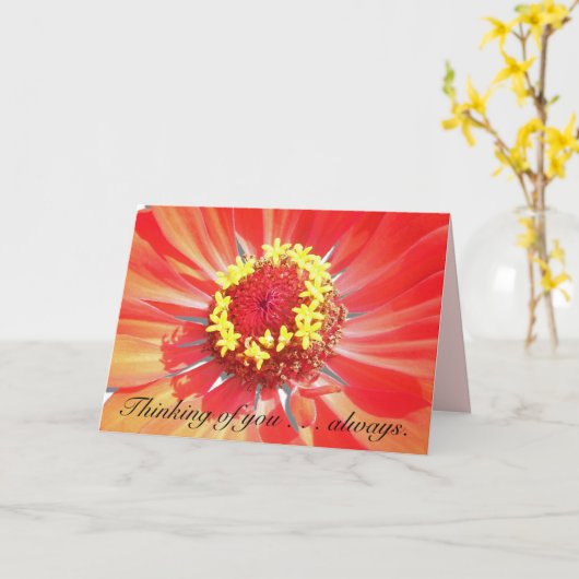 Wenskaart - Denk aan u - Rode Zinnia Kaart (Gele Bloem)