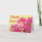 Wenskaart - donkerroze Gerbera madeliefjes Kaart (Voorkant)