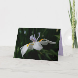 wenskaart "fairy iris" kaart