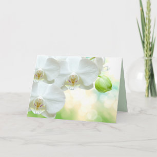 Wenskaart Feestdagen Kaart