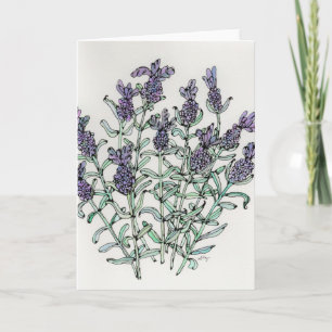Wenskaart - Franse lavender Waterverf & inkt Kaart