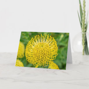 Wenskaart - Gele Protea in Kirstenbosch Kaart