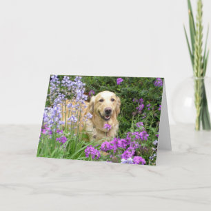 Wenskaart Golden Retriever in Flowers Kaart