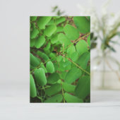 wenskaart groene bladeren (Staand voorkant)