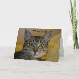 Wenskaart: Het was niet me Kat Kaart