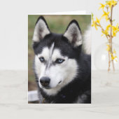 wenskaart husky kaart (Gele Bloem)