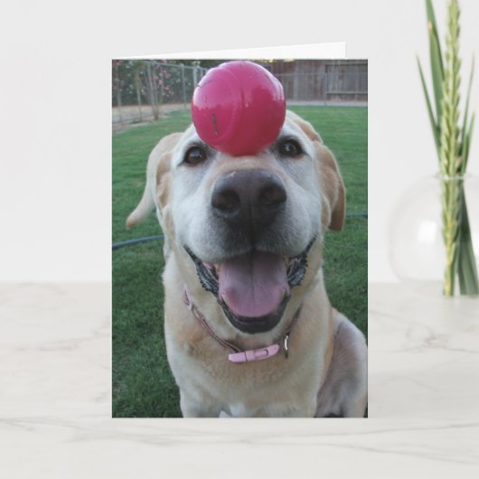 Wenskaart Kaart (Voorkant)