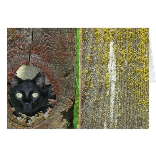 Wenskaart - Kat dat door het hek heen stroomt (Voorkant Horizontaal)