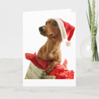 Wenskaart kerstdachshund feestdagen kaart