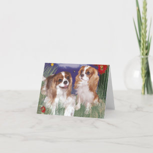Wenskaart, King Charles Cavalier Spaniel Kaart