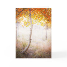 Wenskaart, lege binnenkant