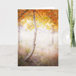 Wenskaart, lege binnenkant kaart