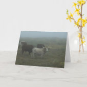 Wenskaart "Longhorns in the Fog" (blank inside Kaart (Gele Bloem)