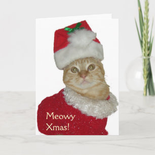 wenskaart "Meowy Xmas" Feestdagen Kaart