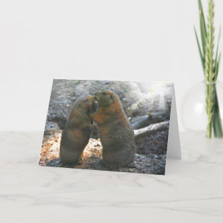 Wenskaart met knuffelend marmotpaar kaart