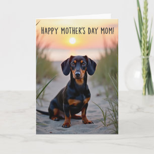 Wenskaart met matte zonsondergang en hond kaart