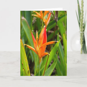 Wenskaart met oranje bloemen op de cover kaart