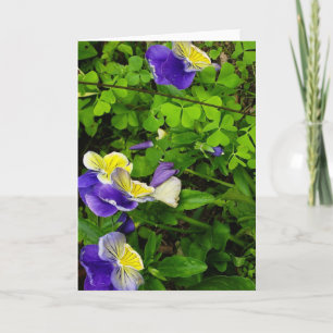 Wenskaart met paarse en gele bloemen kaart