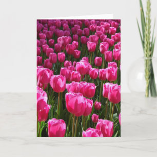 Wenskaart met roze tulpen kaart