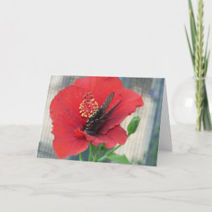 wenskaart met vlinder op rode bloem kaart