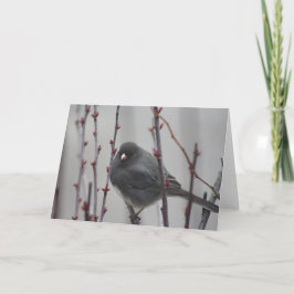 Wenskaart met vogel in een boom kaart