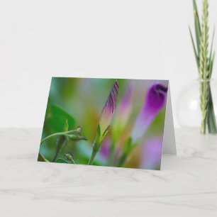 Wenskaart Morning Glory Art Fotografie Kaart
