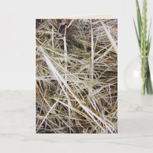 wenskaart "needle in a haystack" kaart