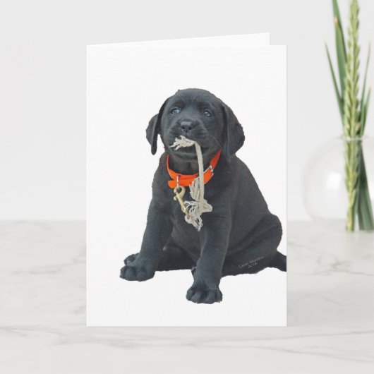 Wenskaart- of opmerkingenkaart met zwarte labrador kaart (Voorkant)