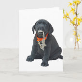 Wenskaart- of opmerkingenkaart met zwarte labrador kaart (Gele Bloem)