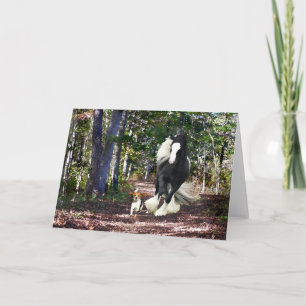 wenskaart "Pine Barrens run" Kaart