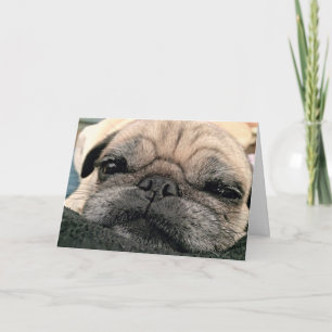 Wenskaart: Pug/de Misser van Itsy uw gezicht Kaart