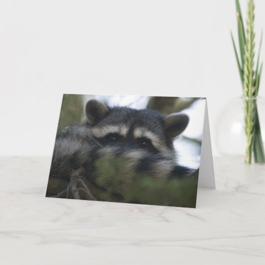 Wenskaart: Racoon Kaart (Voorkant)