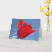 Wenskaart - Red Tulip Blue Sky Kaart (Gele Bloem)