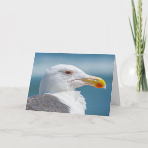 Wenskaart - Regal Seagull Kaart