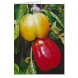 Wenskaart Rode Bell Peppers