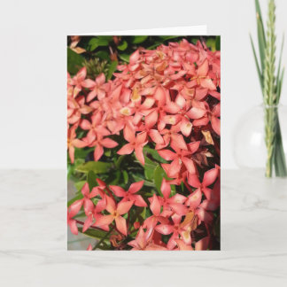 Wenskaart - Rode Bloemen (Leeg) Kaart