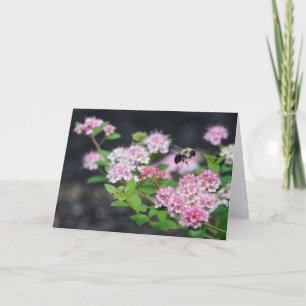 Wenskaart - Roze spirea met bijen Kaart