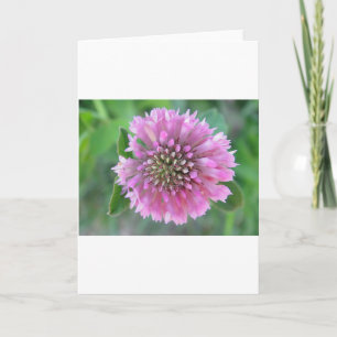 Wenskaart  roze wildbloem kaart