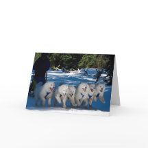 wenskaart "Shadow Fan"