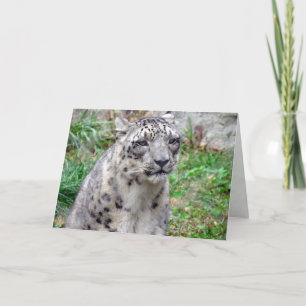 Wenskaart Snow Leopard Kaart