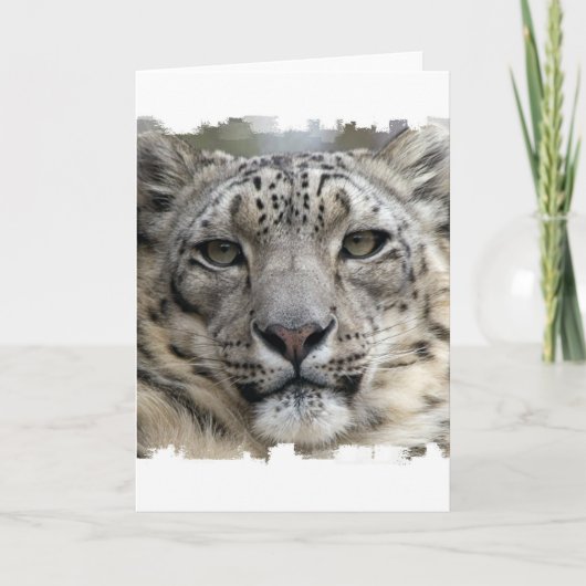 Wenskaart Snow Leopard Kaart (Voorkant)